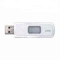 Sandisk Cruzer Micro 1 GB White (SDCZ6-1024-E10WT)